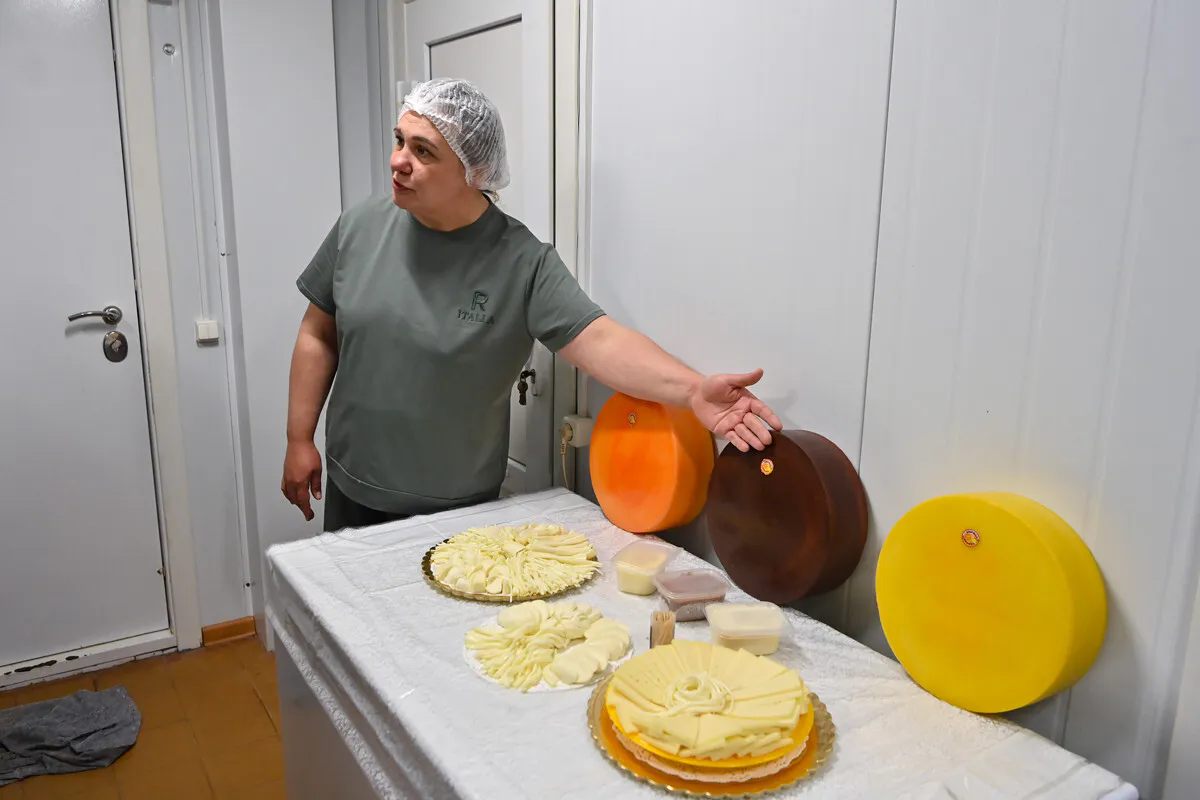 "Софийский" и "Маргарита": сосногорский сыровар создает новые брендовые сорта для Коми