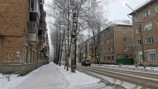 Грядущая зима может оказаться аномально теплой — рассказал синоптик