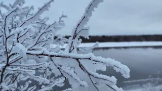 Сильный снегопад и гололед: зима не отступает из Коми