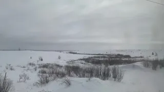 «Весь ноябрь будет аномальным». Синоптики наконец дали прогноз на конец осени