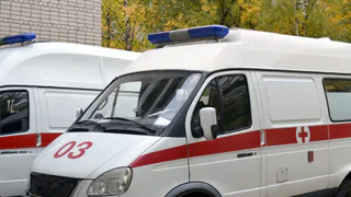 Житель Ухты пришел на день рождения коллеги и убил его