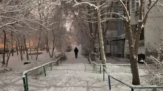 Жителям Коми рассказали, когда уйдут аномальные морозы