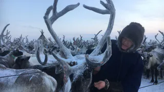 Ученые изучили скорость старения жителей Крайнего Севера