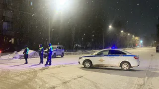 Полицейские Коми спасли 88-лтенюю женщину от холодной смерти