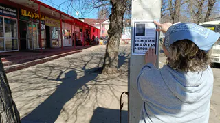 36 вернулись домой, 3 погибли: волонтёры «ЛизаАлерт» подвели итоги августа в Коми