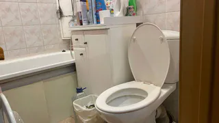 Уходя их дома, закидываю чайный пакетик в унитаз - великолепный совет опытной горничной