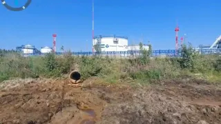 Леса Коми пострадали от разлива нефти на площади 1,6 гектара