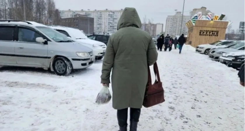Готовимся к худшему? Главный метеоролог страны рассказал, как долго продлится похолодание в России