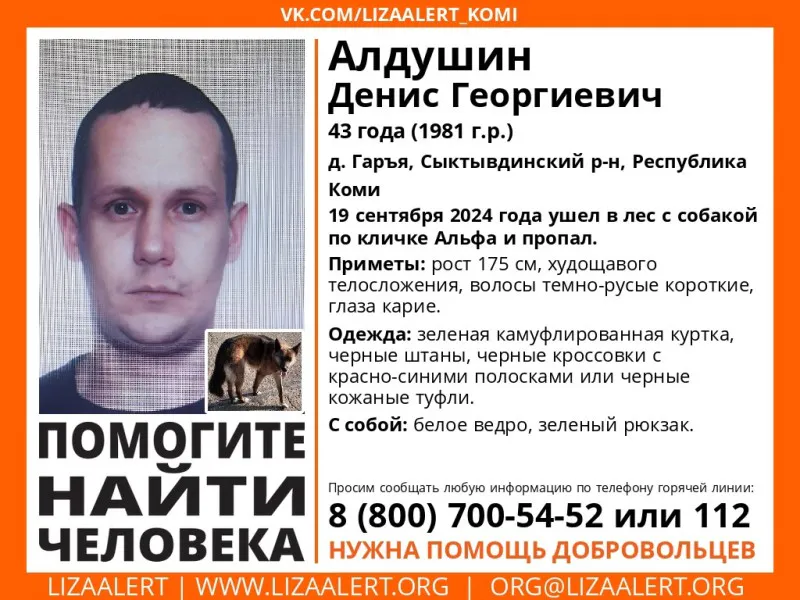 В одном из районов Коми мужчина ушел в лес с собакой и пропал