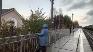 Как вести себя с теми, кто вас не любит: одна еврейская мудрость — ваш лучший щит