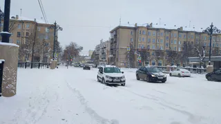 С 8 ноября у выехавших за город на авто будут аннулировать права: водителей ожидает неожиданный сюрприз