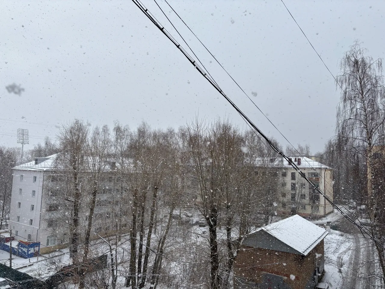 Синоптики рассказали о погоде в Коми на сегодня, 30 ноября