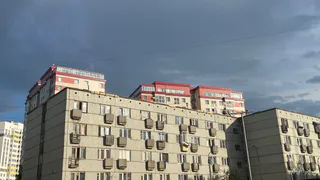 70% жителей столицы Коми не боятся одиночества