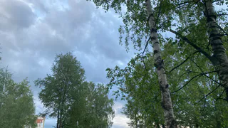 23 июля Коми встретит и 31 °C жары, и грозовые ливни