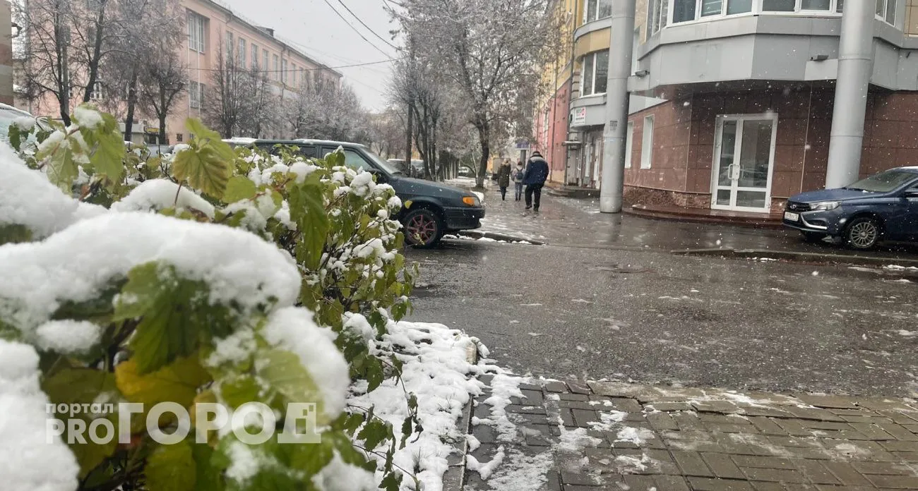 В Коми прогнозируют переменную облачность и небольшие осадки