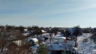 Это растение у дачников теперь запретили: новое правило для россиян