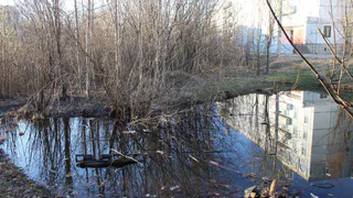В Коми с лесными свалками будут бороться с помощью фотоловушек
