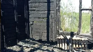 Добровольцы помогли тушить крупный пожар в Коми
