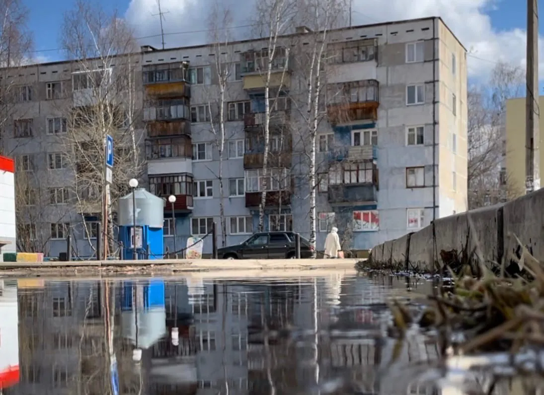 Закон обязал сыктывкарцев избавиться от клопов и тараканов