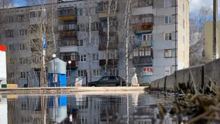 Закон обязал сыктывкарцев избавиться от клопов и тараканов