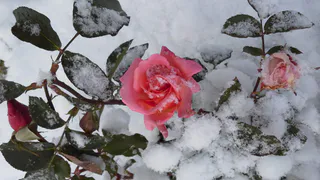 Сегодня последний теплый день этого сезона