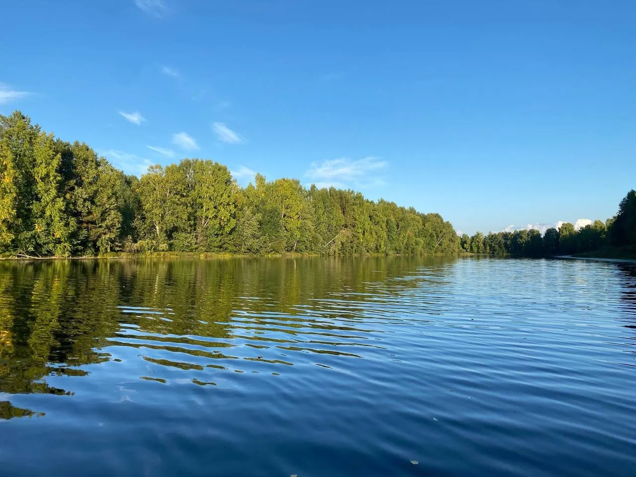 Моржи в Коми провели открытие сезона зимнего плавания