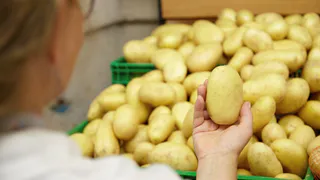 В Коми сохранили выплаты самозанятым за продажу выращенного картофеля