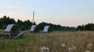 В Республике Коми продолжаются работы по заготовке кормов