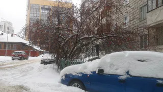 Снег придет резко и без стука: синоптики объявили точные даты окончания летней погоды