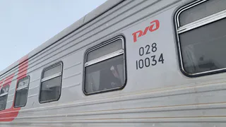 На Псковщине задержали жительницу Коми, находящуюся в федеральном розыске