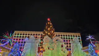 Каждый 4-й житель Коми хочет сертификат в качестве новогоднего подарка