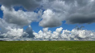 В Коми аграрии взялись за тритикале и удвоили посевы кукурузы