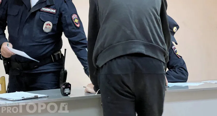 В Коми мужчина избил подругу, а после оказал сопротивление правоохранителям