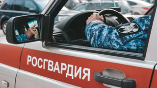 Силовики задержали жителя Коми, разгуливавшего в кафе в нижнем белье