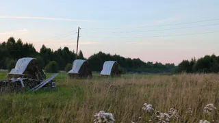 Россельхознадзор выявил нарушения на одной из ферм в Коми