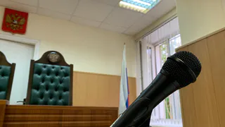 Житель Коми получил срок за стрельбу из пневматической винтовки