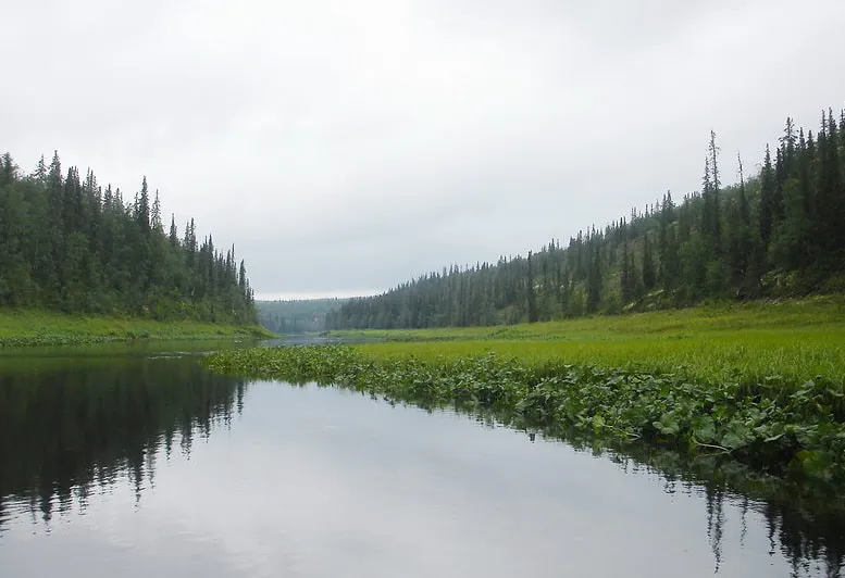 Экологическое оздоровление водных объектов Коми