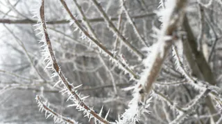 Коми встретит 1 ноября снегом и морозами до -14°C