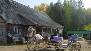 Туризм в Коми растет: регион в списке лидеров в СЗФО по росту турпотока