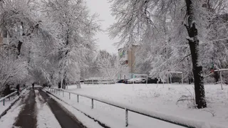 Синоптики рассказали о погоде в Коми на сегодня, 3 декабря
