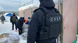 Полиция Сыктывкара изъяла у двух бизнесменов 13 тонн нелегальной рыбы