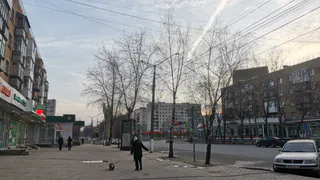 Обустройство собачей площадки обойдется бюджету Коми в 853 000 рублей