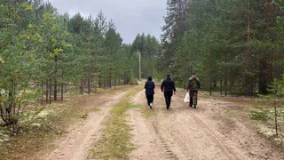 Синоптики рассказали о погоде в Коми на сегодня, 26 августа
