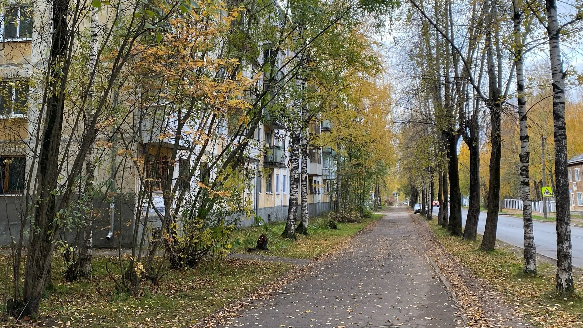В Коми 3 октября будет прохладно и сухо: прогноз погоды