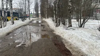 20 марта принесет в Коми осадки: от снега до дождя