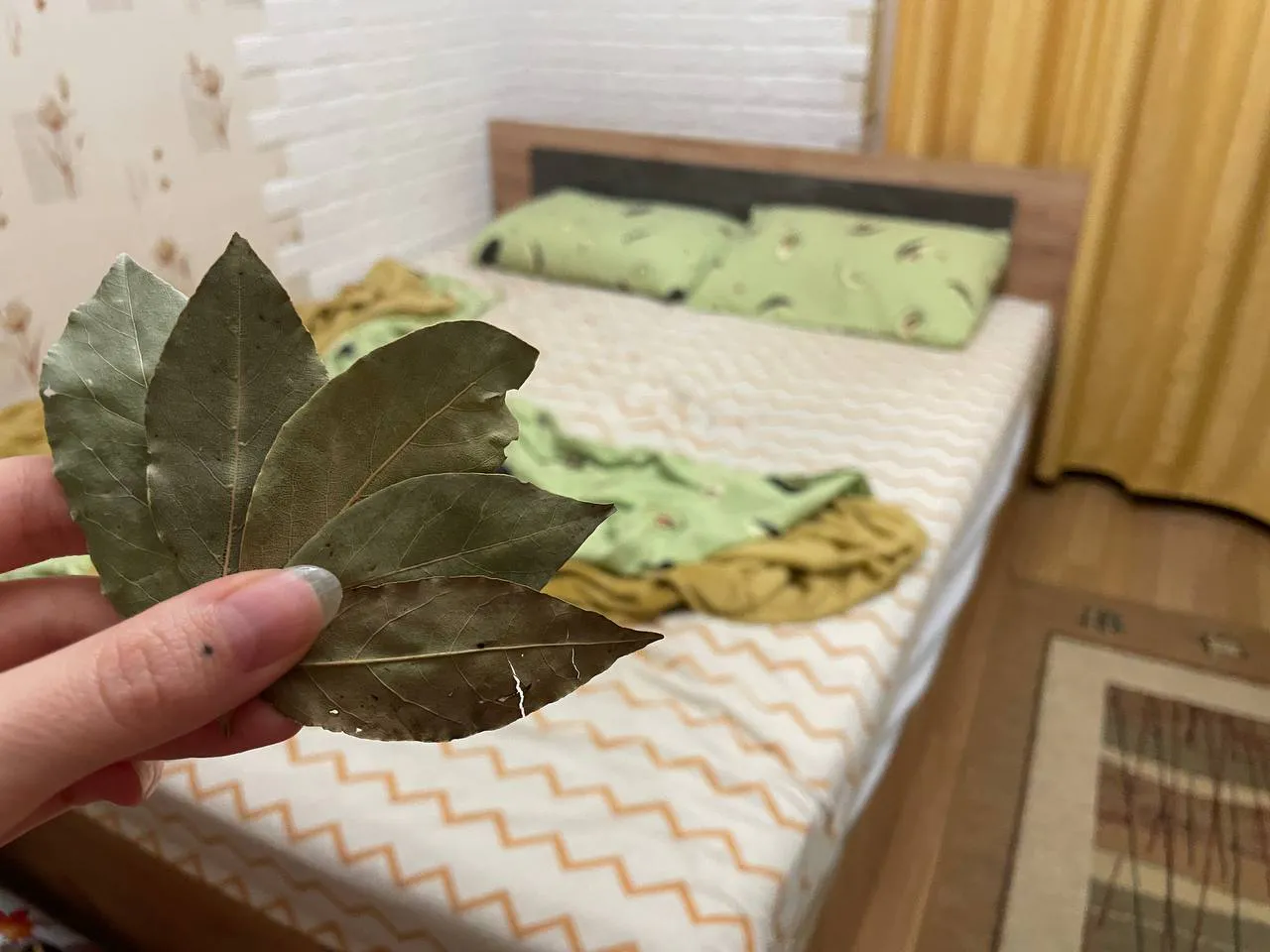 Успокойте свои бессонные ночи с помощью лаврового листа: невероятные свойства, о которых вы и не могли догадываться