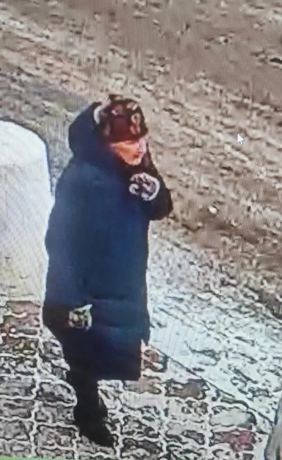 В Коми пропала пожилая женщина