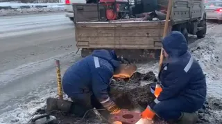 В Коми продолжают внедрение световых "зебр": проекционные переходы появятся в Ухте