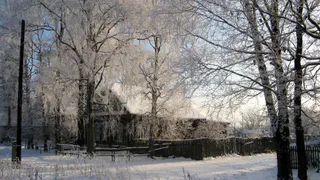 45% сельчан в Коми живут с туалетом на улице