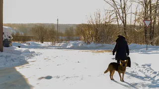 В Коми нагрянет настоящая зима
